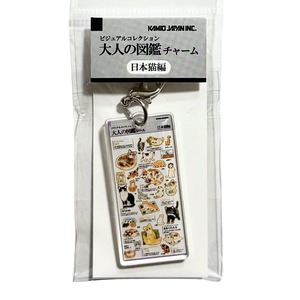 カミオジャパン　大人の図鑑チャーム