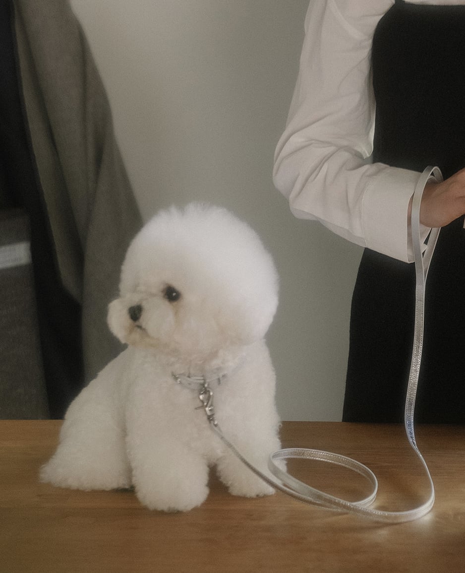 即納【stroll】Lumiere Leash (Silver)