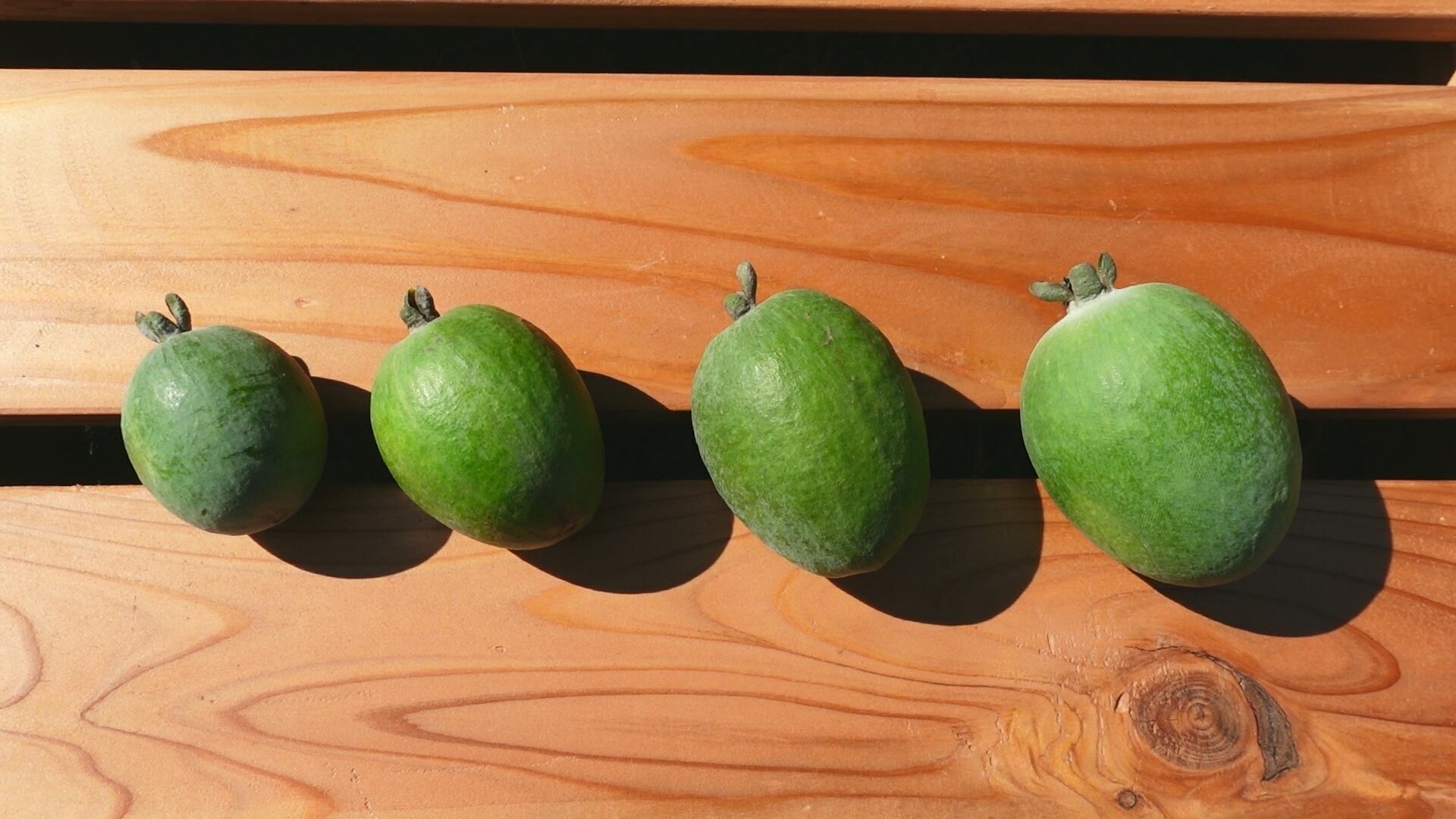 送料無料】お買い得フェイジョア大容量【Mサイズ】 | なおと