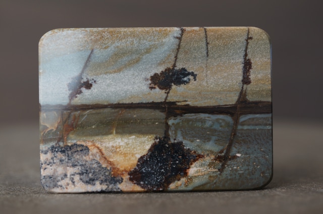 チェリークリーク・ジャスパー Cherry Creek Jasper 2216