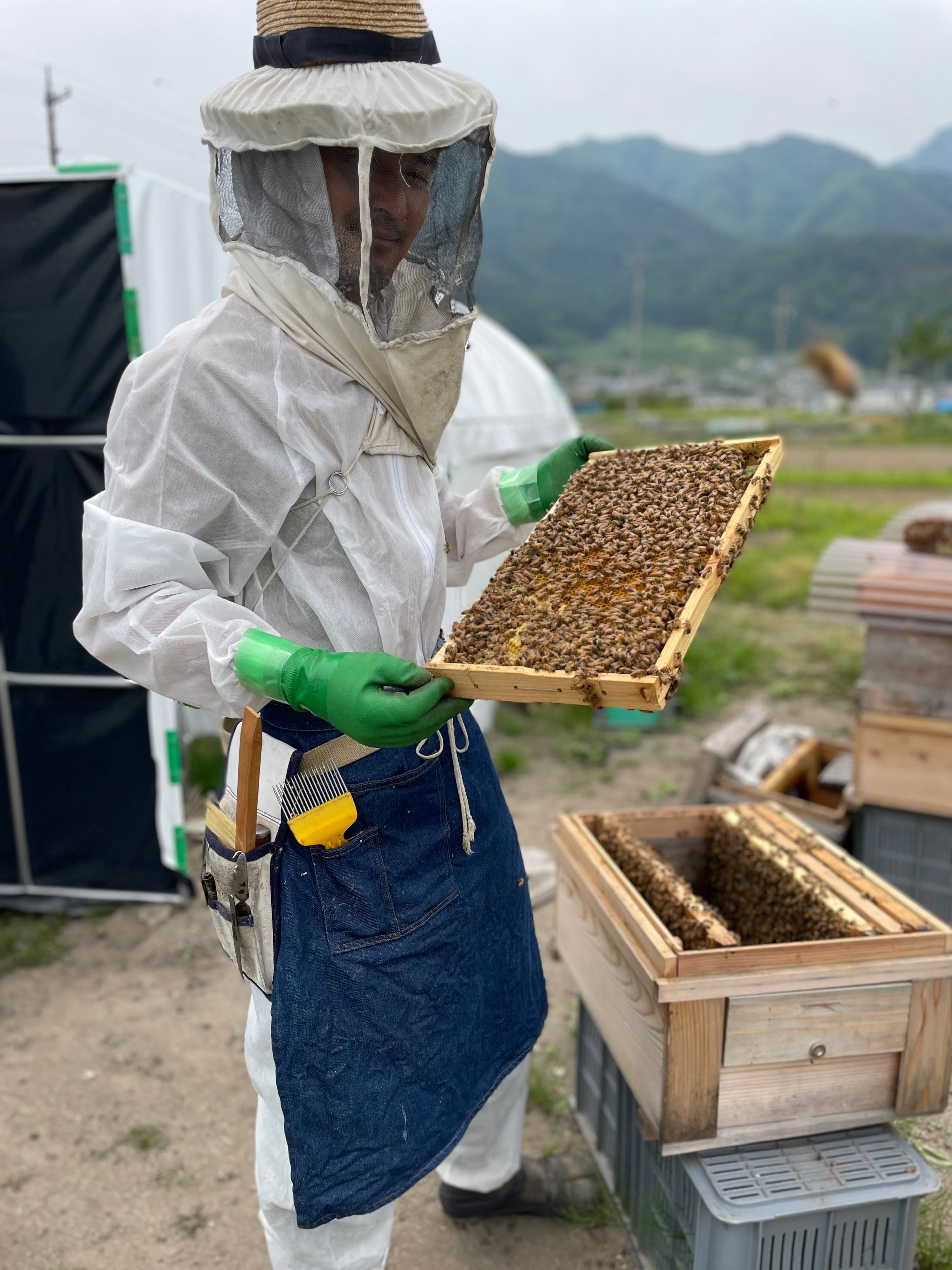 信州産 純粋生はちみつ『アカシア蜂蜜2025』140g（薬剤不使用、花粉無