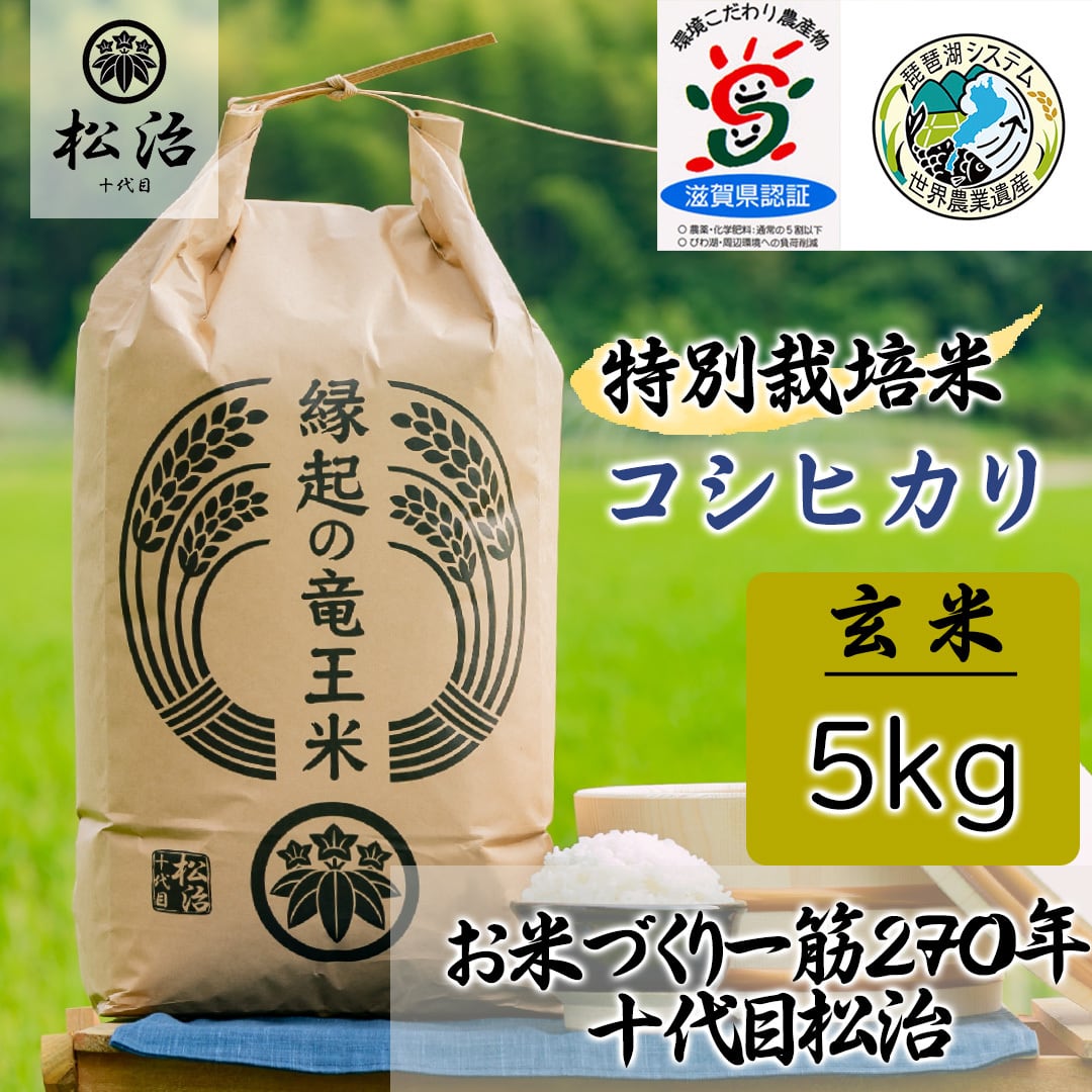 令和5年産新米】特別栽培米　滋賀県産コシヒカリ「縁起の竜王米」　玄米　5kg　お米づくり一筋270年　十代目松治