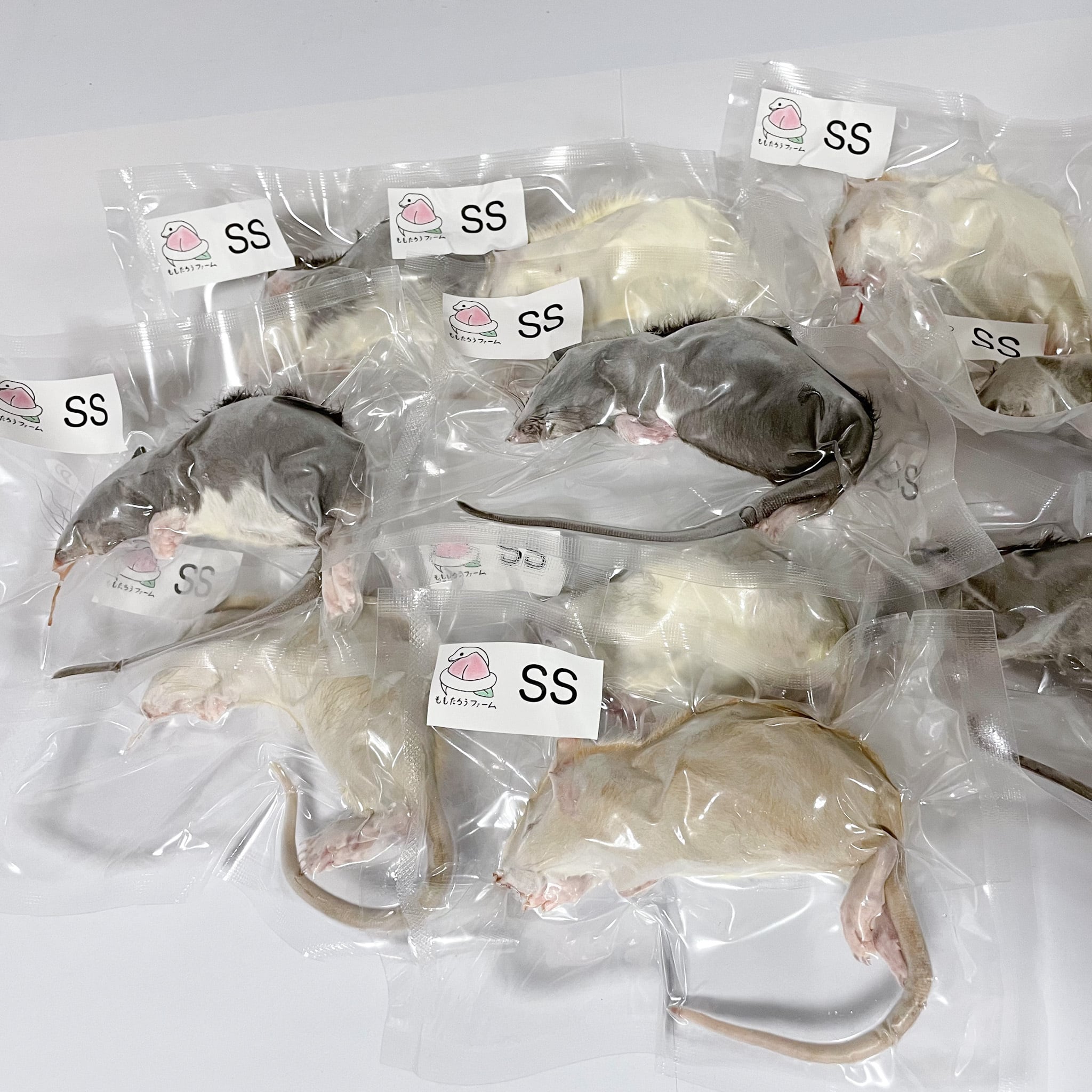 10匹セット90g～124g☆国産個包装冷凍ラット☆ 爬虫類、両生類用品