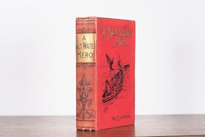 【CV-318】A SALT WALTER HERO / display book