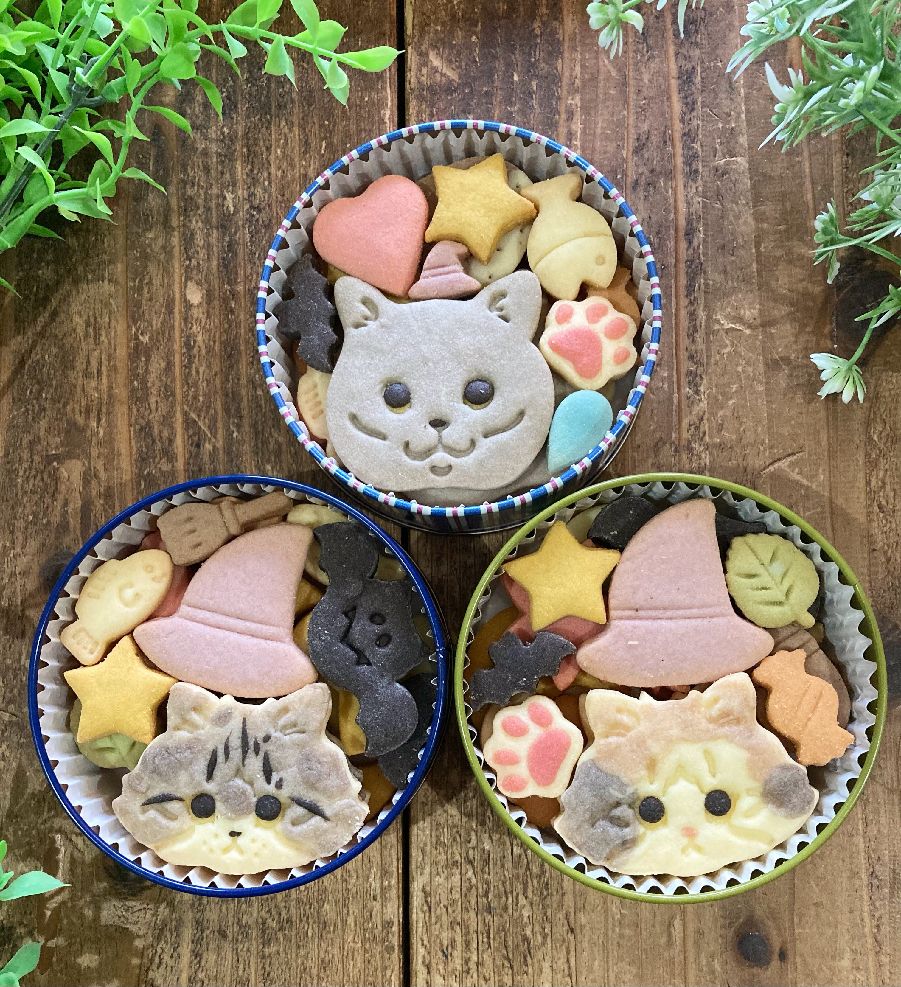 にゃんこクッキー缶 | パンと和菓子の店mochiri