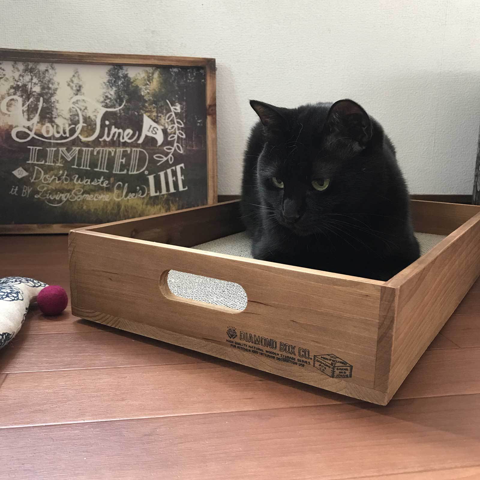 A ネコのウッドBOX ねこのきもち9月号掲載】猫の爪とぎ ウッドボックス Cat Scratching