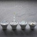 clear cactus (small)　