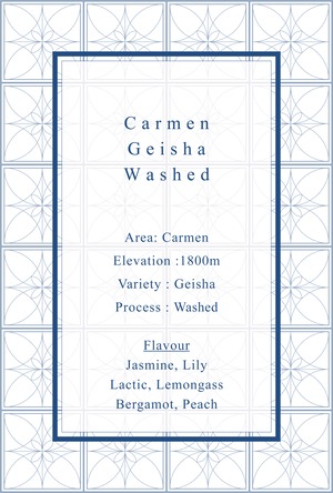 Carmen Geisha Washed
