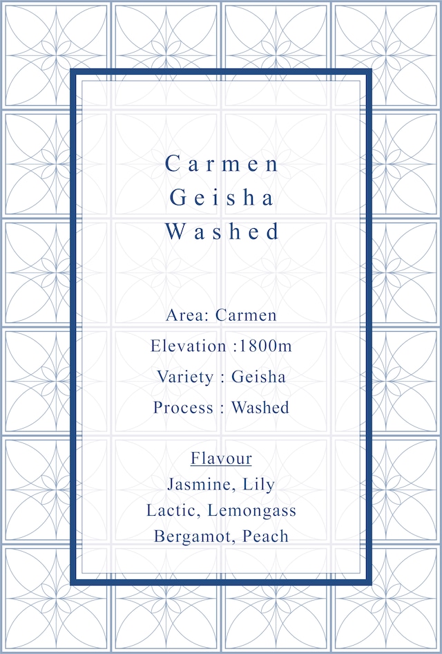 Carmen Geisha Washed