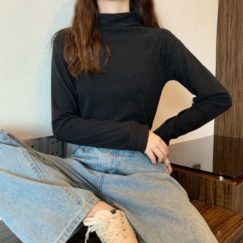 Tシャツ シャツ オータムウィンタースタイルカラートップス ロング 秋物 冬物 1号婦人26753970743