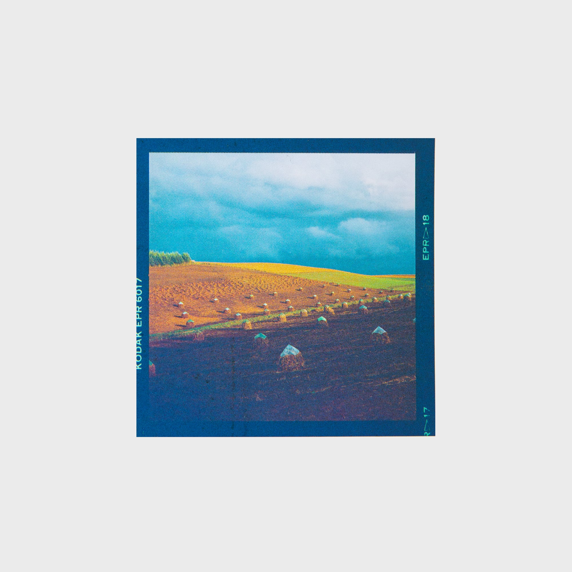 6×6フィルムステッカーA〈6枚セット〉 | 拓真館 TAKUSHINKAN