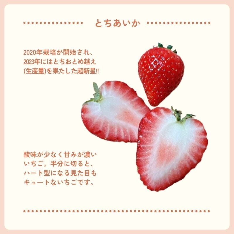 547be1be68a4d0cb6280b5910d5246