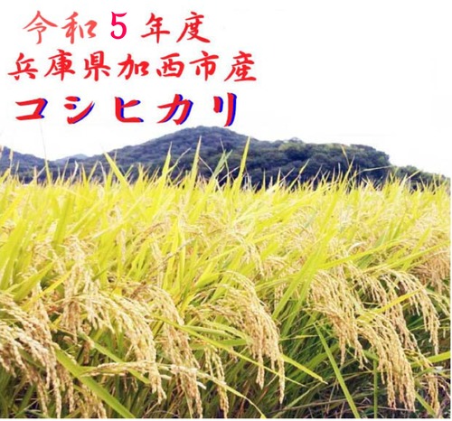 【送料無料】令和５年　兵庫県加西市産 コシヒカリ　30kg