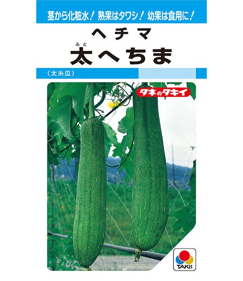 ヘチマ「太へちま」（MF） 画像