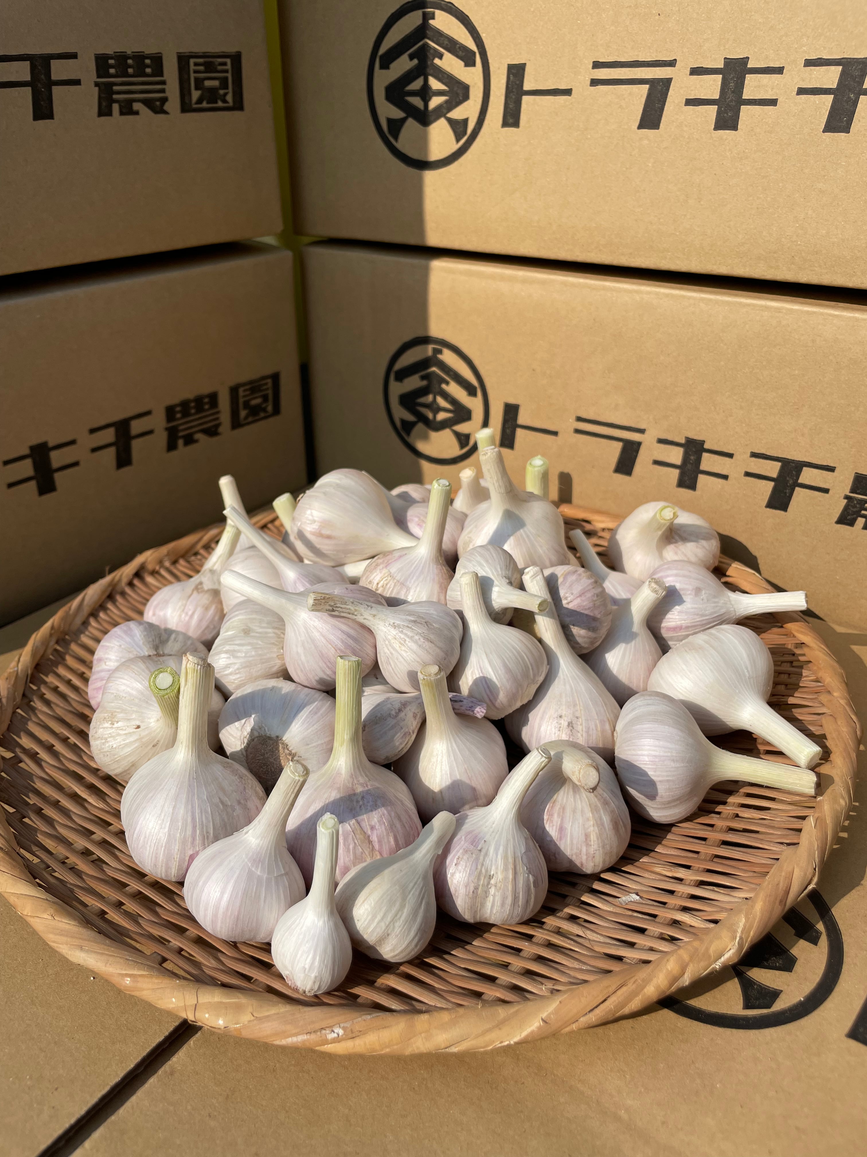 生にんにく（シン・にんにく）Bランク S-Mサイズ 1kg（ 20玉程度/kg