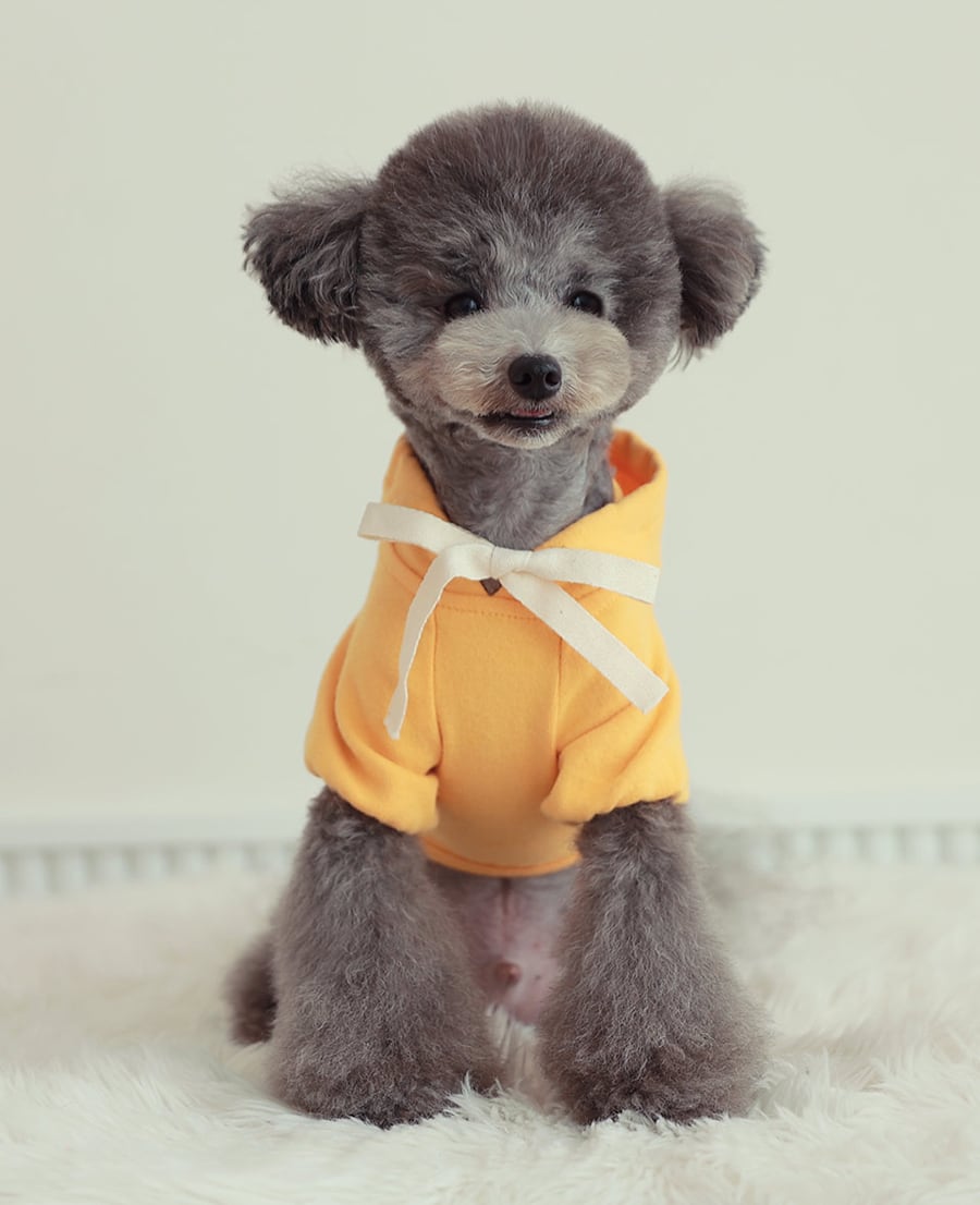 nagrang crop hood S ～ XL 4color / 犬服 秋冬 ショート丈 パーカー フード おパンツカット 無地 シンプル ドッグウェア 小型犬 中型犬 お揃い お出かけ 韓国ワンコ服