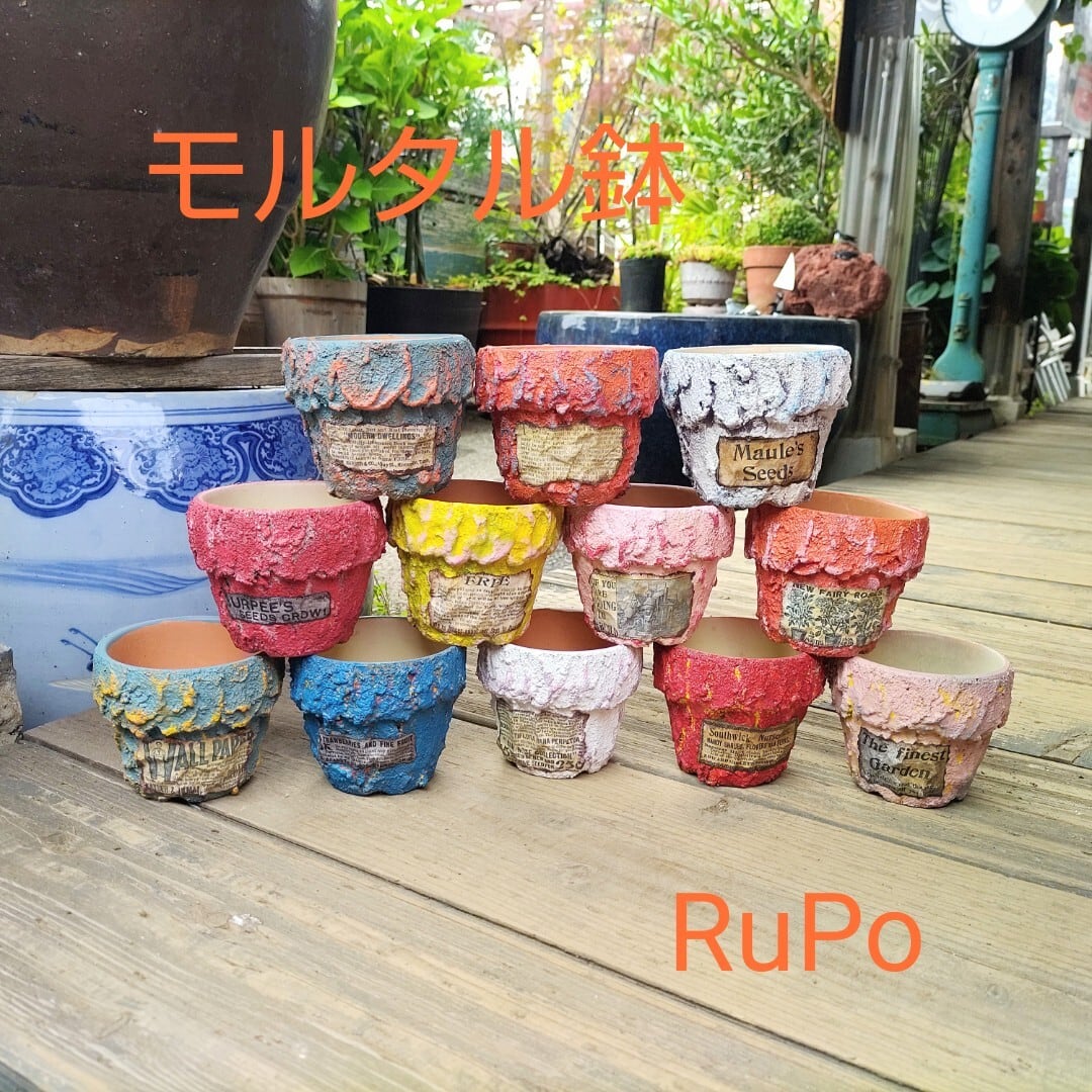 作家さんリメ鉢、ブロック 作家さん | RuPo 多肉植物専門店