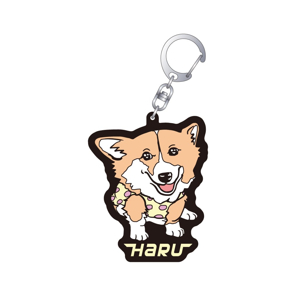 柴犬スティーブchおしゃべりラバーストラップ（購入時おまけ付） 受注生産販売品】柴犬スティーブchおしゃべりラバーストラップ ハル