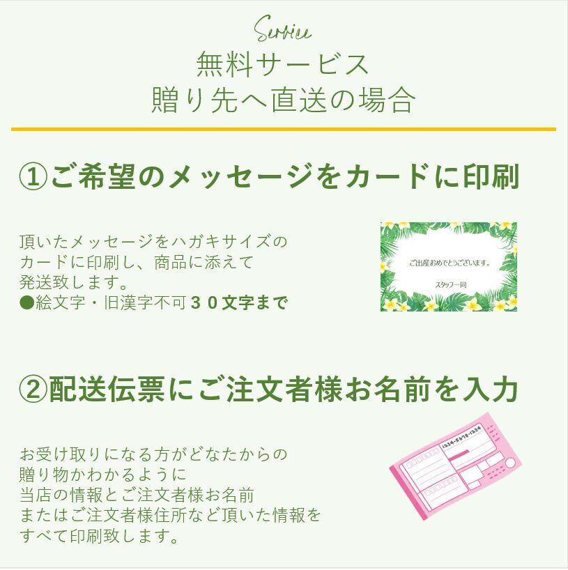 カード名入れ】プルメリアとモンステラ ハワイアン おむつケーキ 