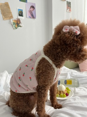 予約【pecoramou select】April crop tee