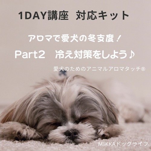 【1day講座対応】アロマで愛犬の冬支度！② 冷え対策　マッサージオイル製作キット