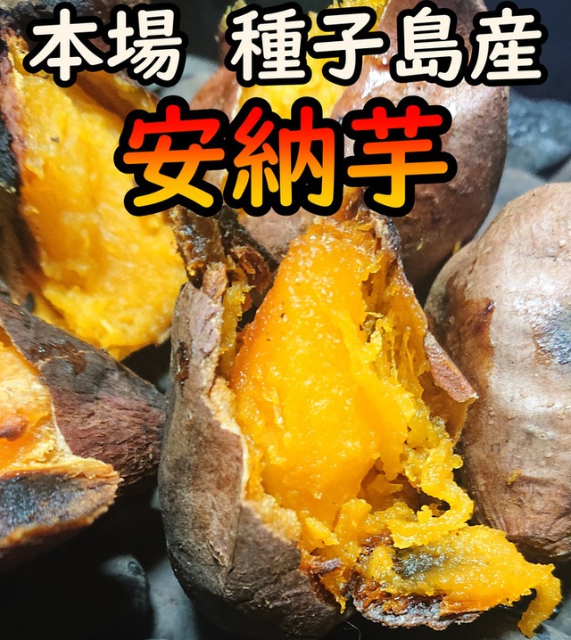 【本場種子島産】完熟！ねっとり！安納芋紅M 20kg 【送料無料】