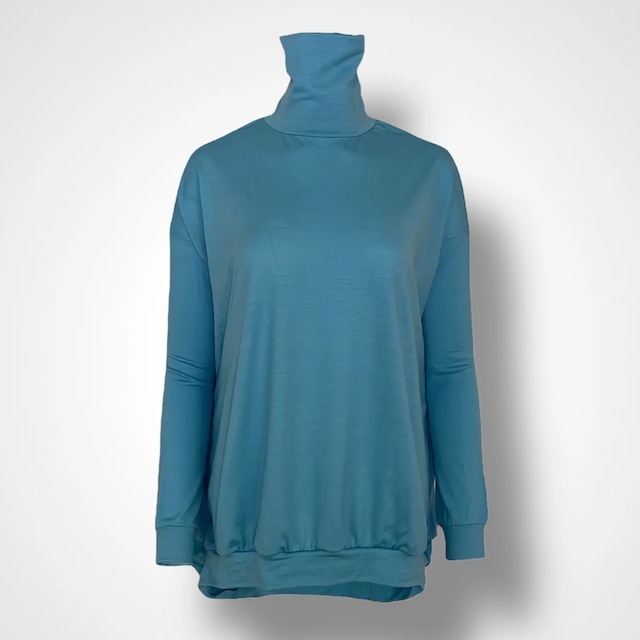 COGTHEBIGSMOKE |   IVA NARROW SLEEVE HIGH-NECK