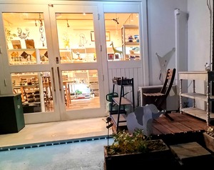 2026年 新春ワークショップ 苔と向き合う、静かなはじまり 2026年1月1.3日(火) 2026年 新春ワークショップ 苔と向き合う、静かなはじまり 2026年1月1.3日(火)