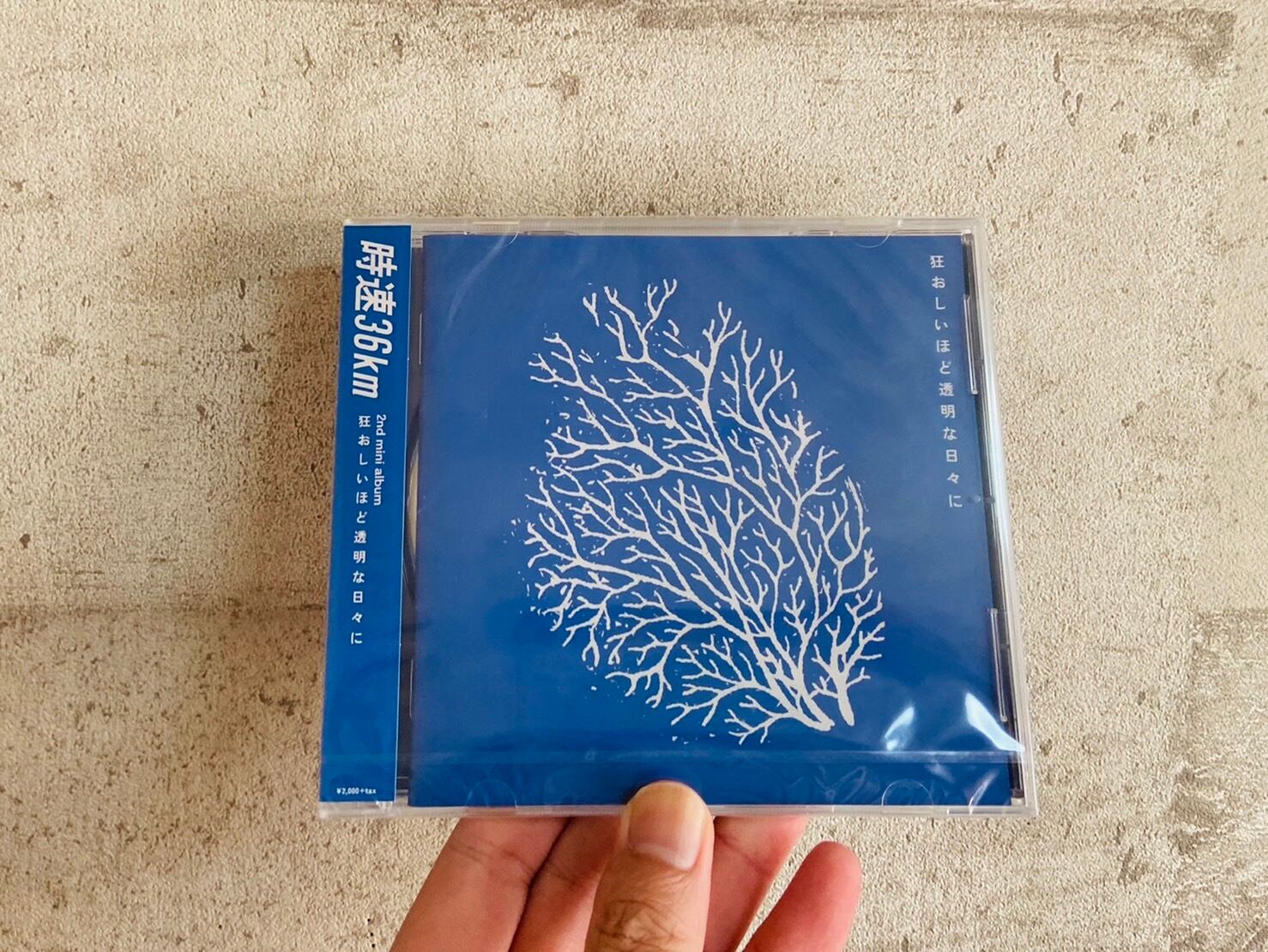 9/20発売】【特典】時速36km/ 狂おしいほど透明な日々に | HOLIDAY