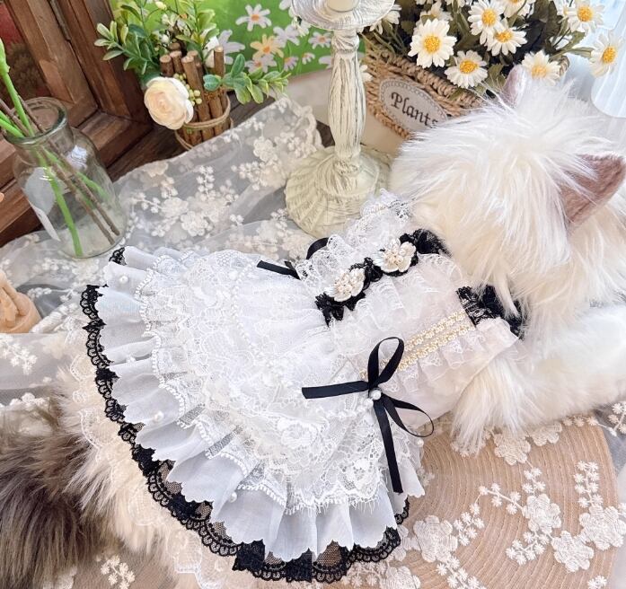 《予約》3102450 ホワイトブラックドレス