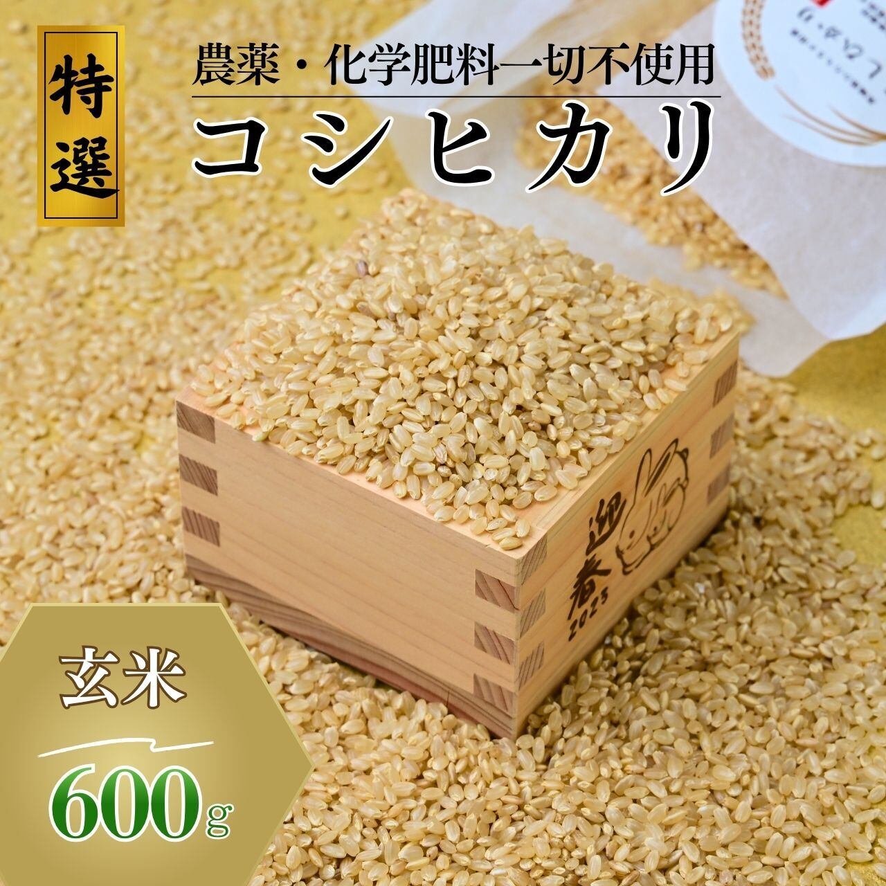 令和7年産 コシヒカリ 白米 600g | KTP Nature Farm