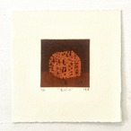荒木珠奈「家(ピンク)」ARAKI Tamana/ etching, aquatint thumbnail 1