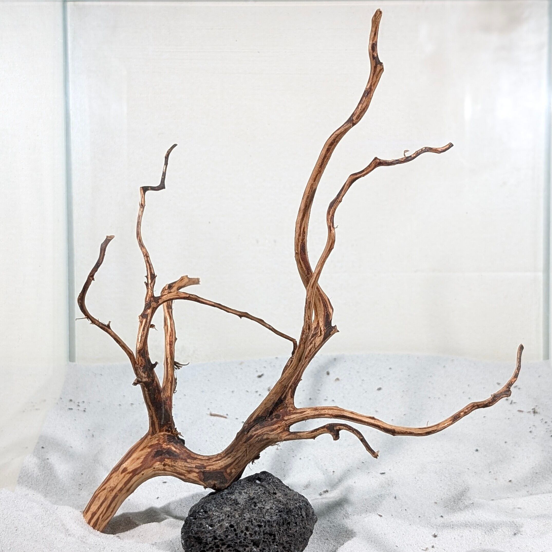 スマトラブランチウッド【SBC101】流木 アクアリウム 水槽 熱帯魚