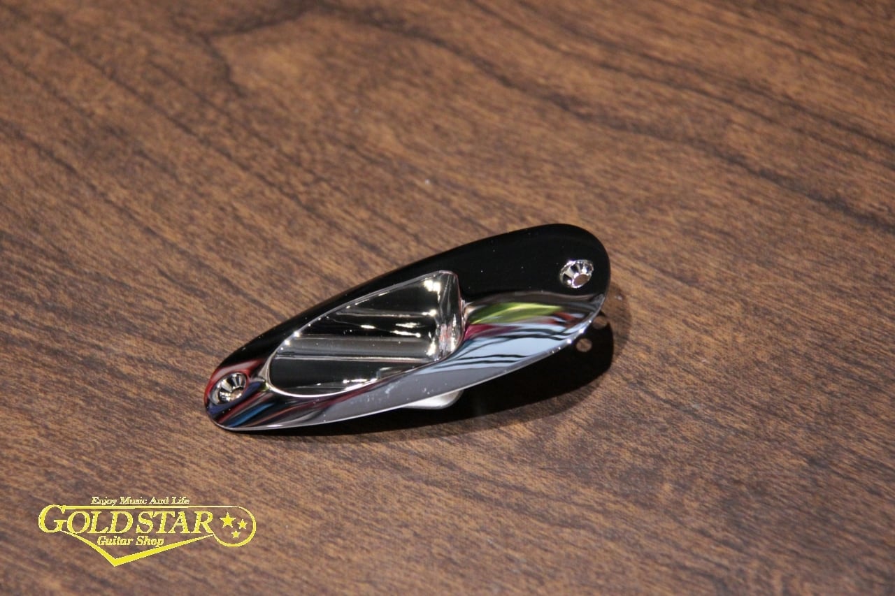 Silver Sky | ギターショップ GOLD STAR (WebShop)