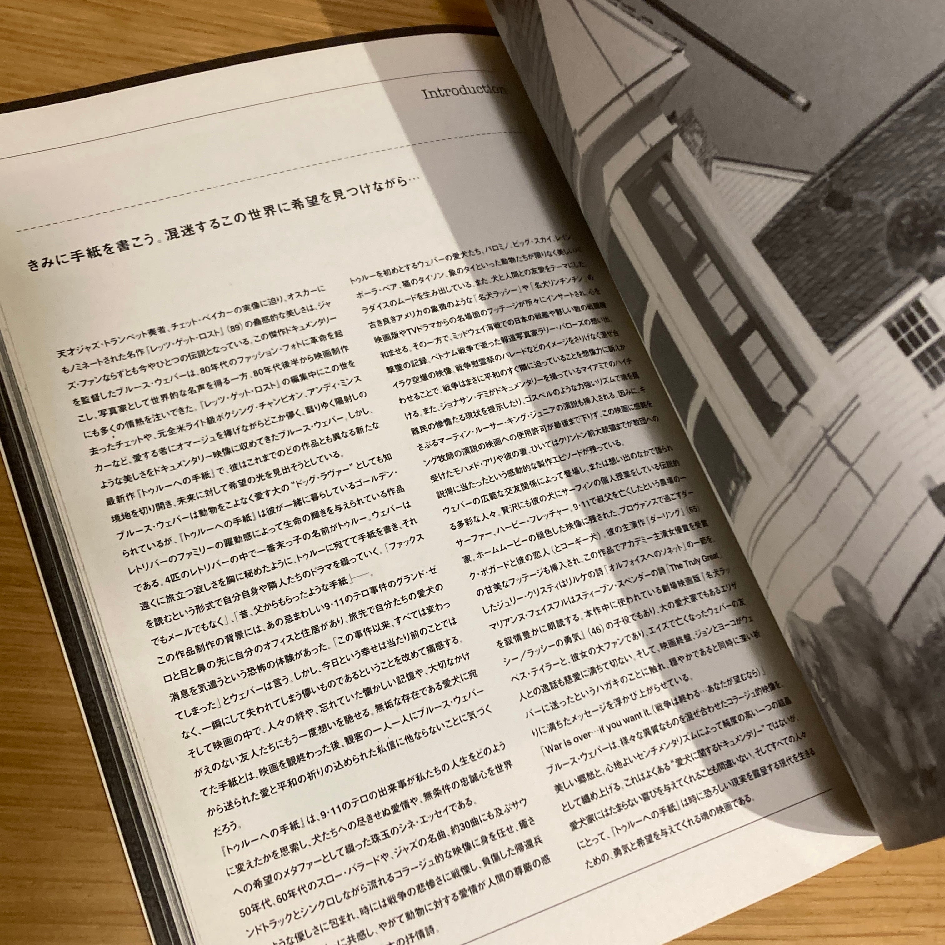 トゥルーへの手紙 A LETTER TO TRUE A Bruce Weber Film ブルース