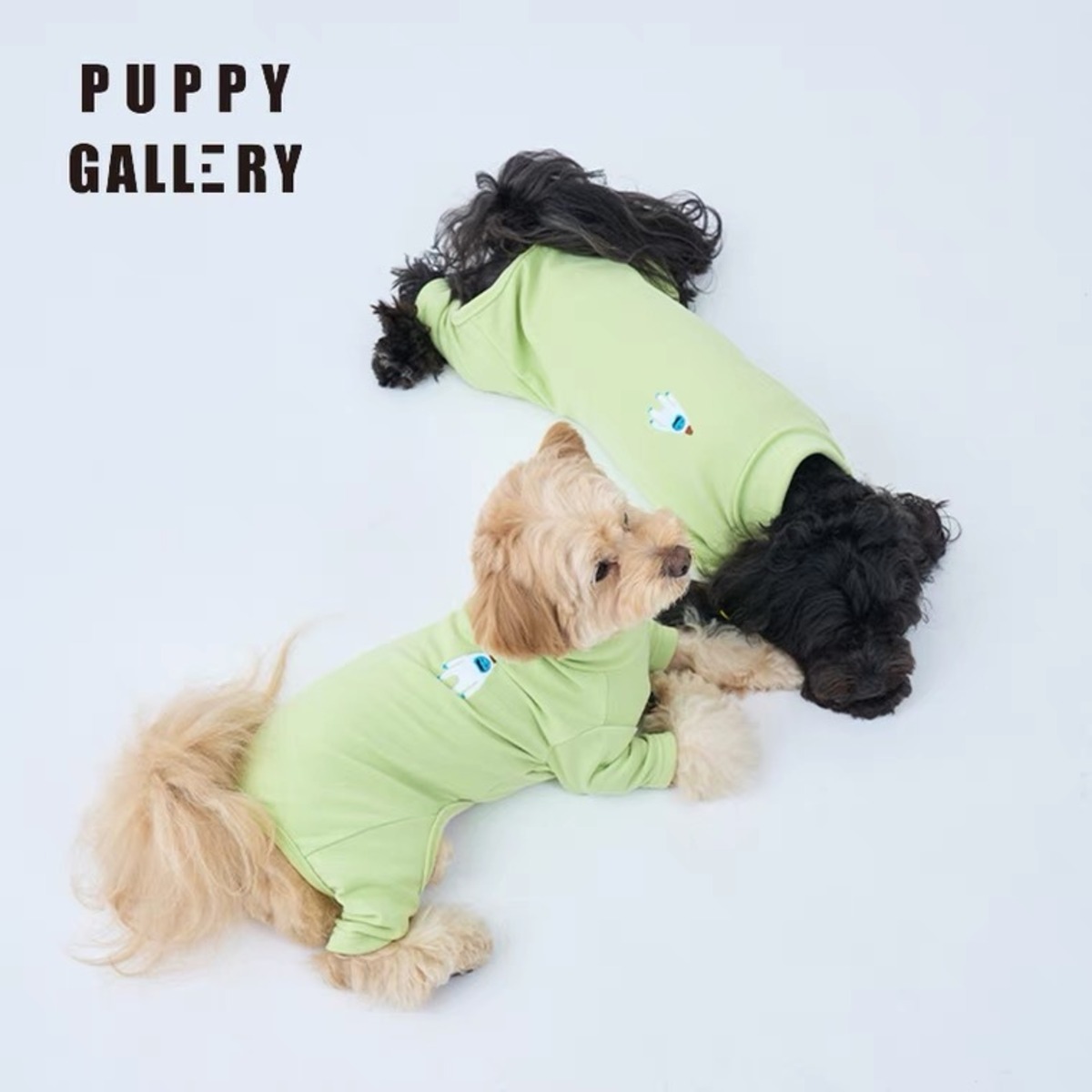 予約商品】PUPPY GALLERY イエティ オールインワン 中型犬～大型犬サイズ | OMOCHI