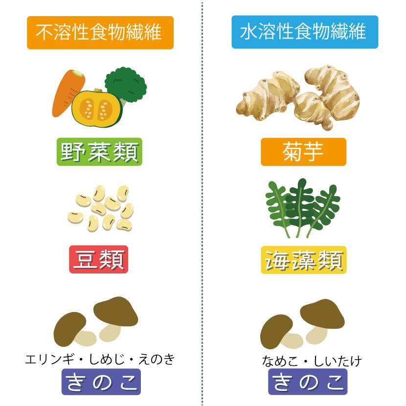 母の日ギフト 2026 リタヘルス5000