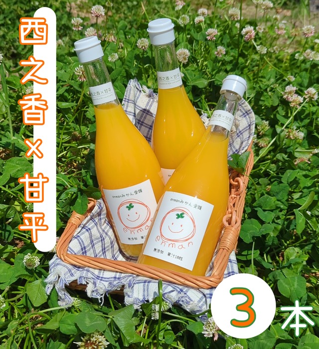 enmanみかん愛媛