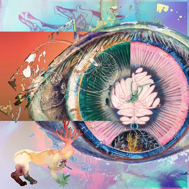 Predawn / The Gaze (CD)