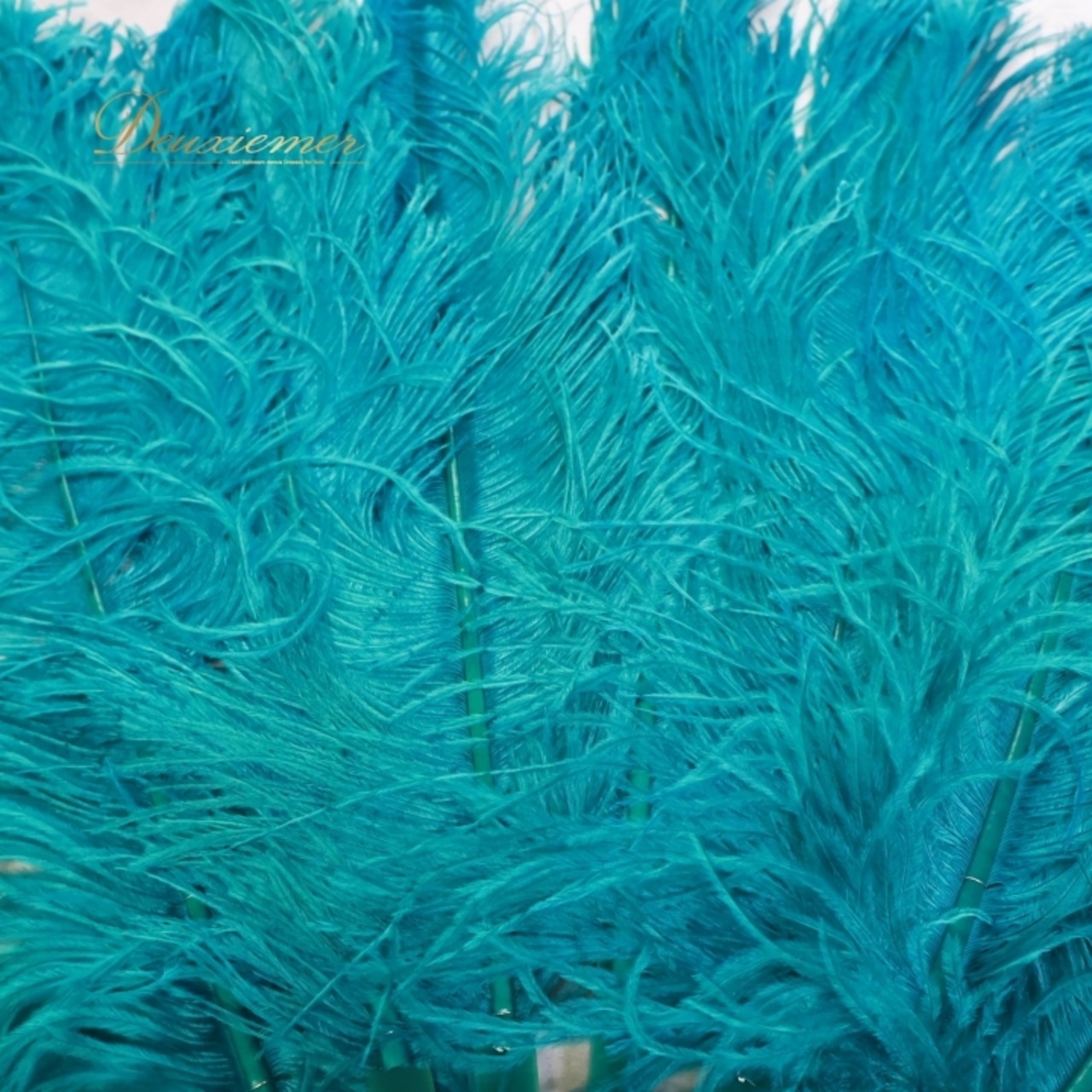 ベリーダンス フェザーファン グリーン系 緑 小物 小道具 羽根 大きい 箱 セット ステージ イベント ショー ダンス小物 鮮やか 華やか ターコイズグリーン 華やか ふわふわ