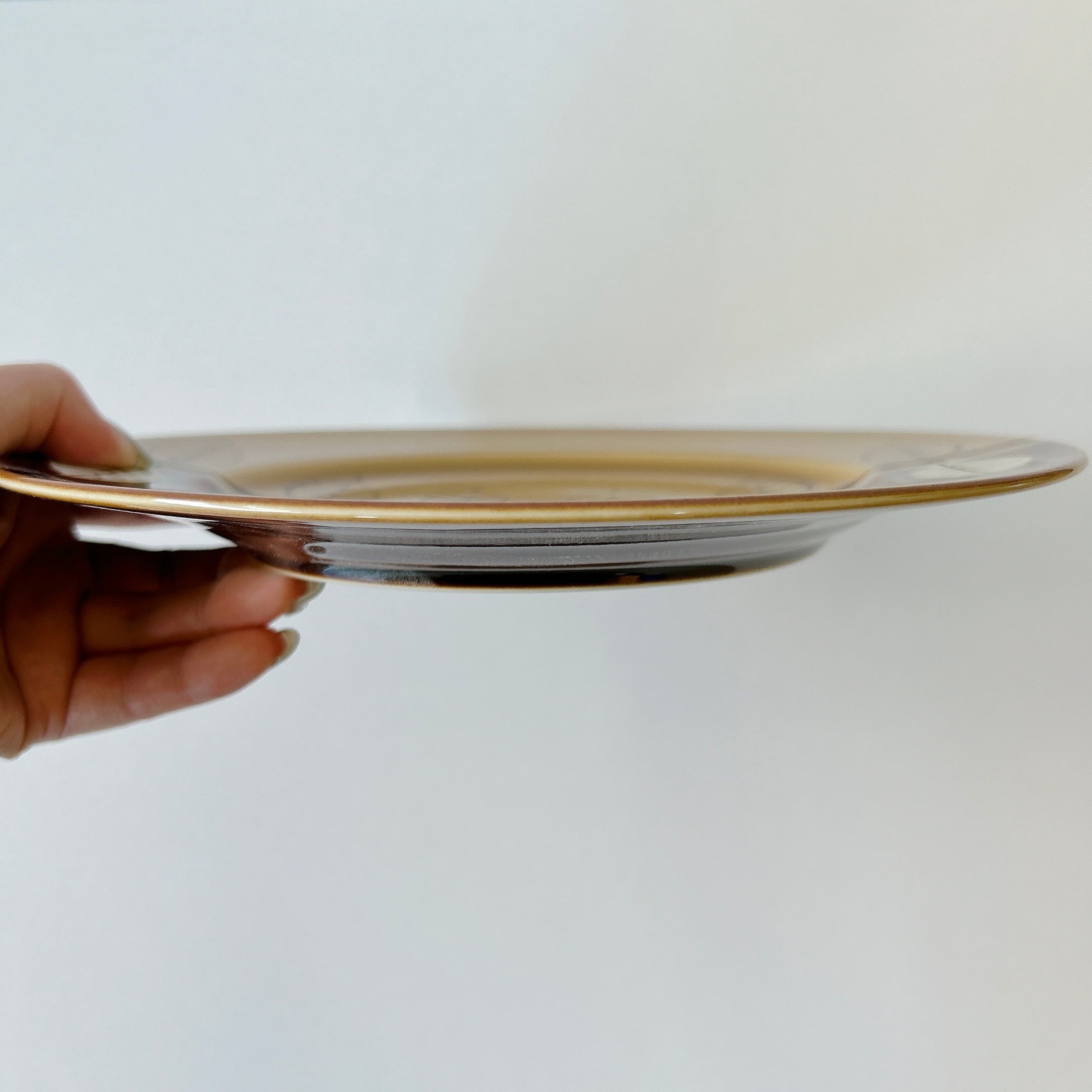 お皿　9枚 塗り分け葉っぱ 秋 リム型9吋皿 | FUTADA