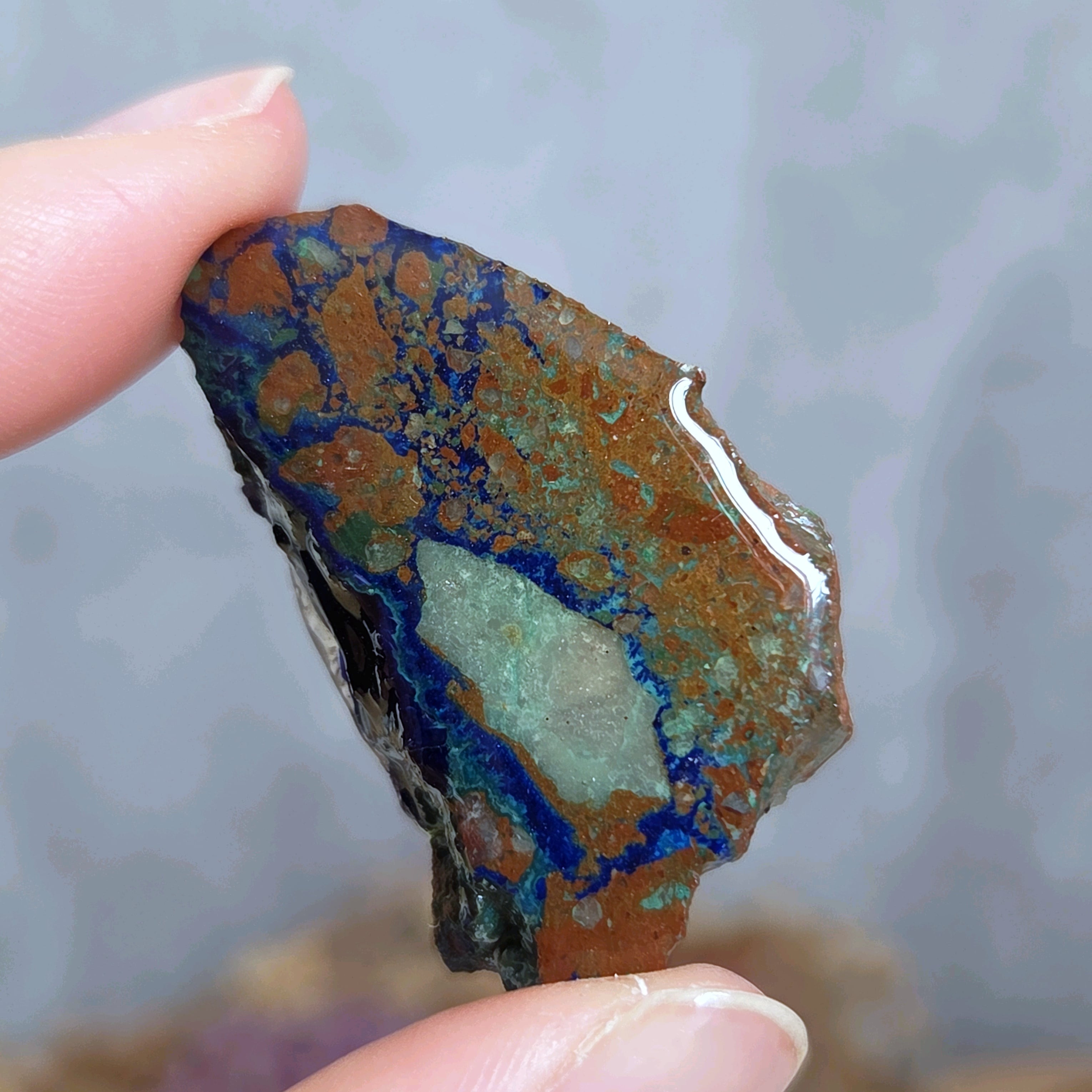 ムーンストーン 龍亀 ロングイ | Pay ID