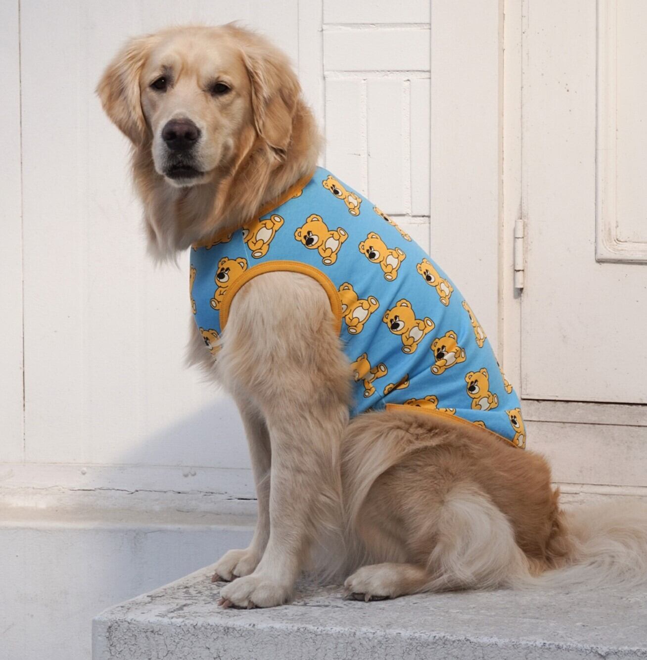 4～6XL/予約【andblank】Joy Bear Sleeveless《Blue》