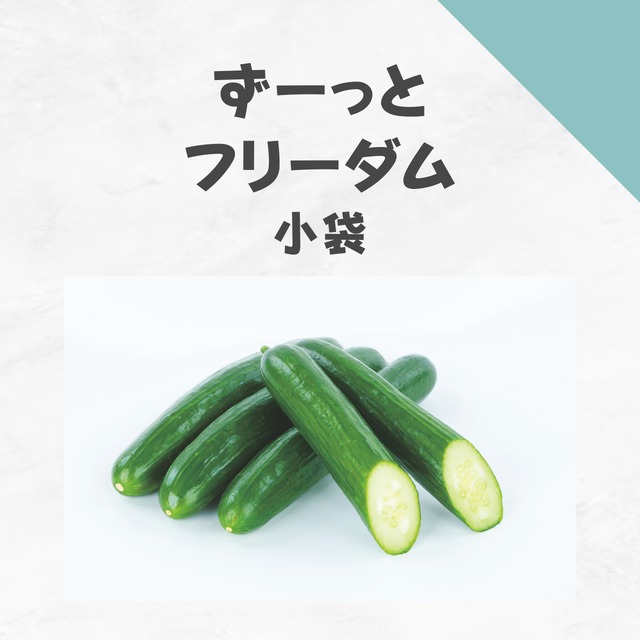 ずーっとフリーダム　キュウリ種子・小袋