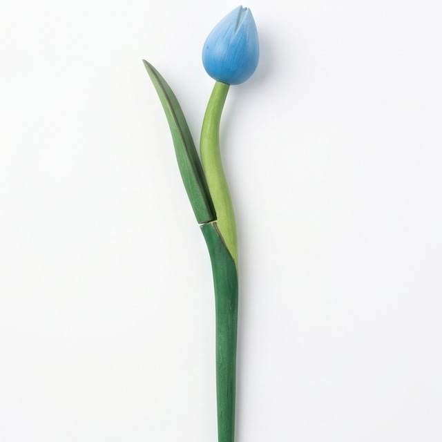 Tulip