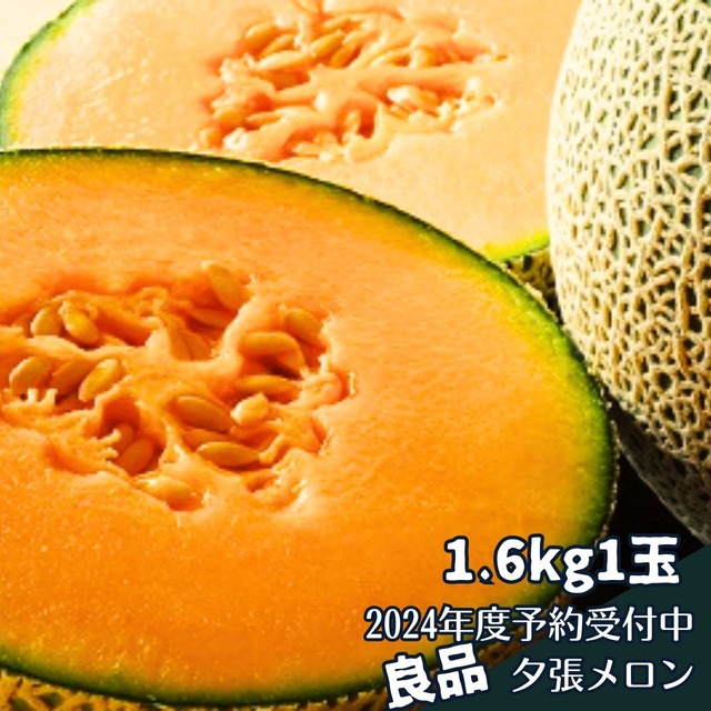 【予約受付中】夕張メロン　良品　1.6kg1玉　2024年度出荷