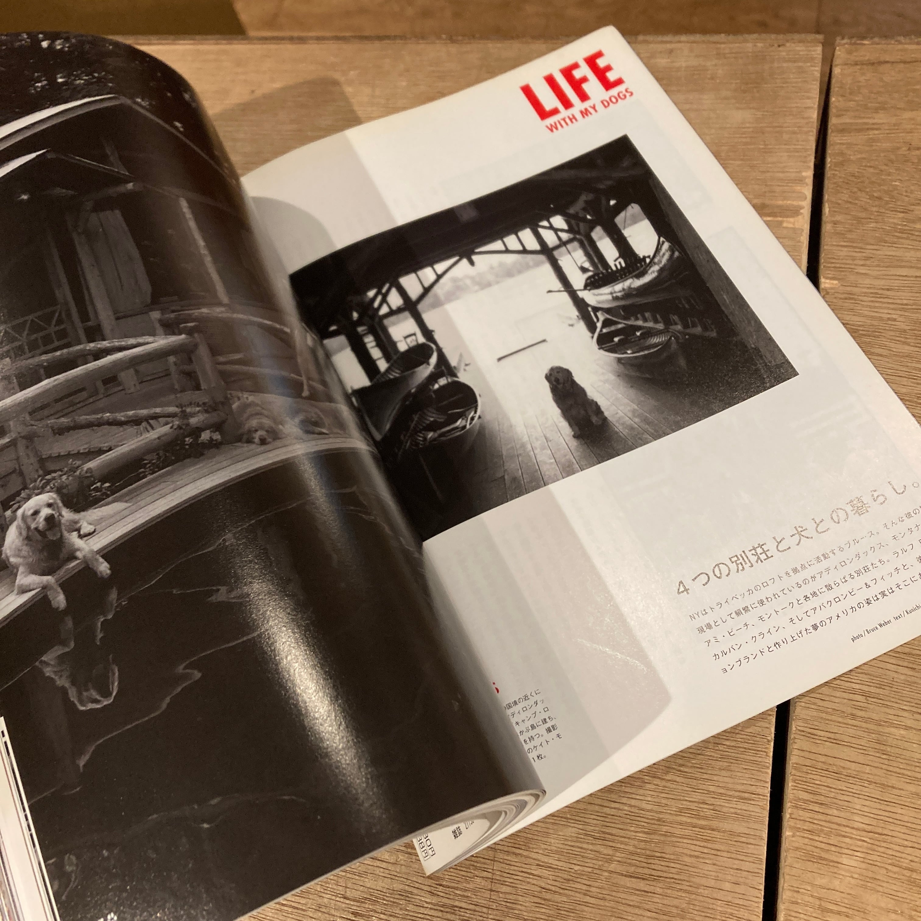 BRUTUS 2005年8月号 写真家ブルース・ウェーバー 犬との生活 | 百年