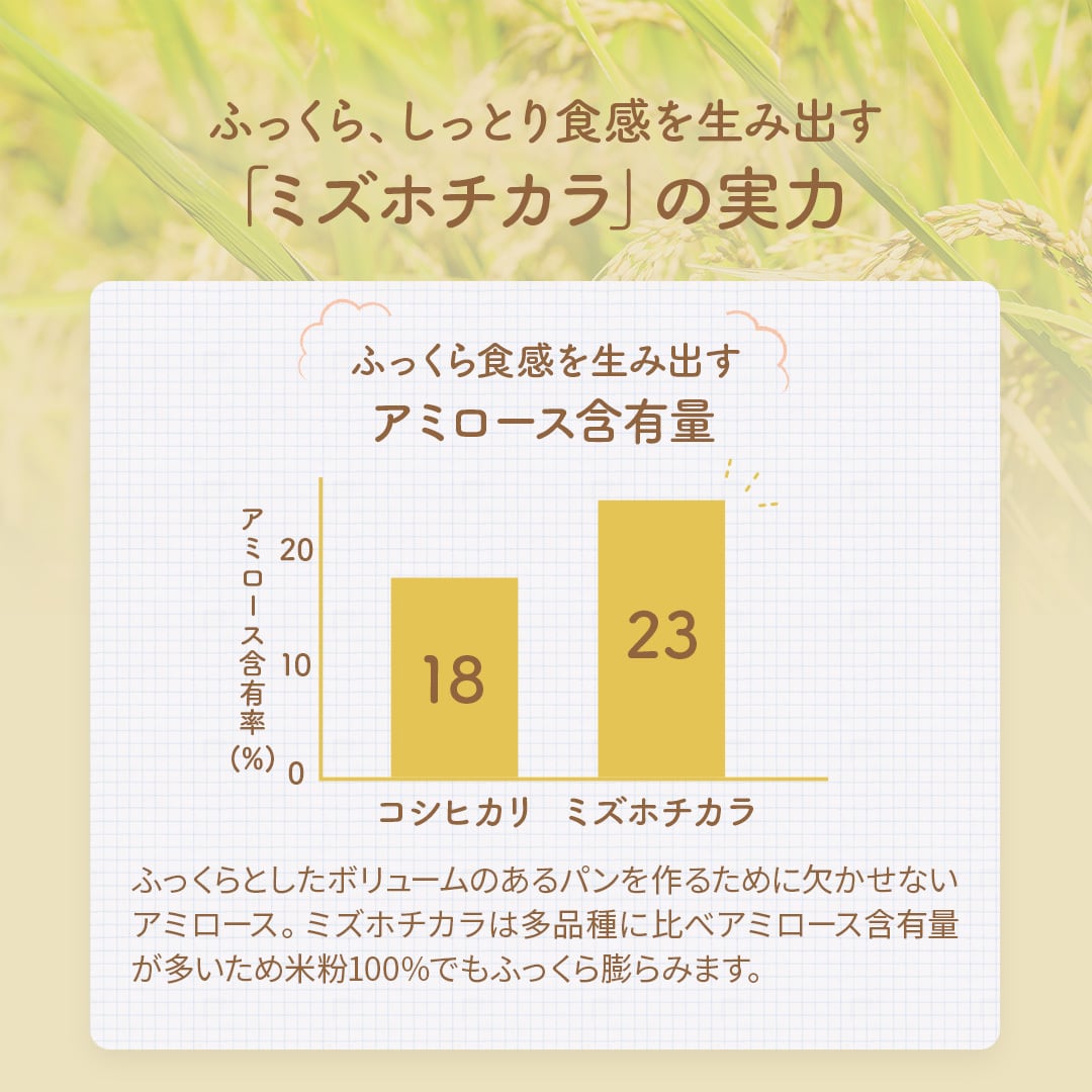 D'sTs 米粉 パン用 ミズホチカラ 2kg 国産 米粉パン用 グルテンフリー
