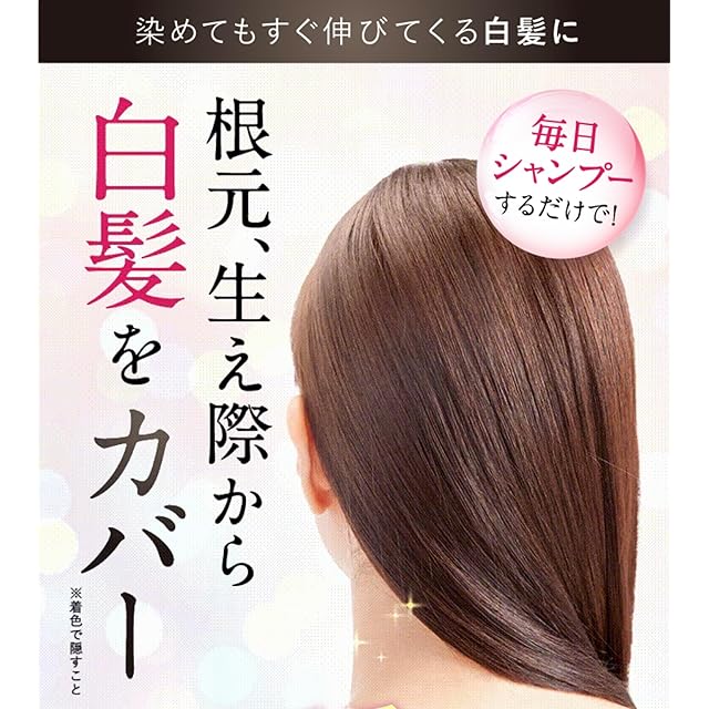 Sastty[白髪用] 利尻カラーシャンプー お徳用 500ml (ブラック