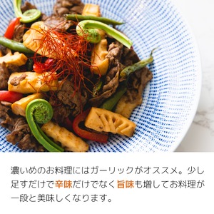 富士吉田名物 激辛味 MAGMA 富士山の麓で生まれた新感覚ホットソース